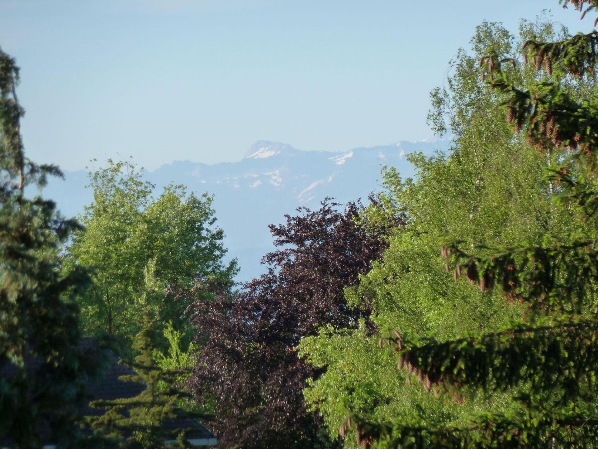Silvaner-Laube Ferienwohnung Silvanerlaube A Meersburg Εξωτερικό φωτογραφία